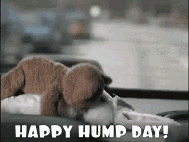 happy-hump-day