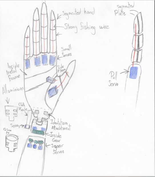 android front view hands 1.jpg