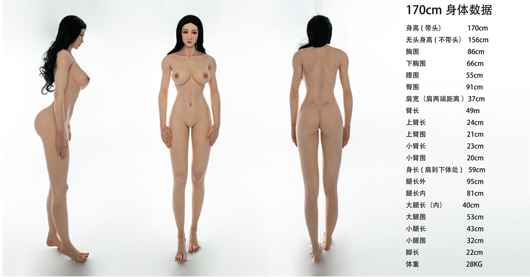 XYcolo 170cm Body 3-D view & Measurements.png
