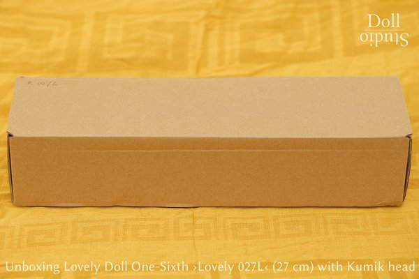 Unboxing Lovely Doll ›Lovely One-Sixth 027L‹ (29 cm) - Dollstudio