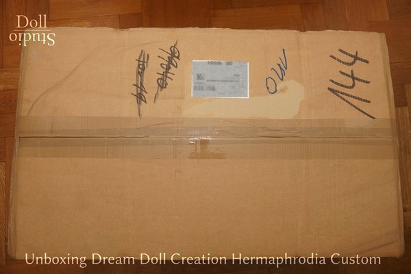 Unboxing Dream Doll Creation Hermaphrodia Custom