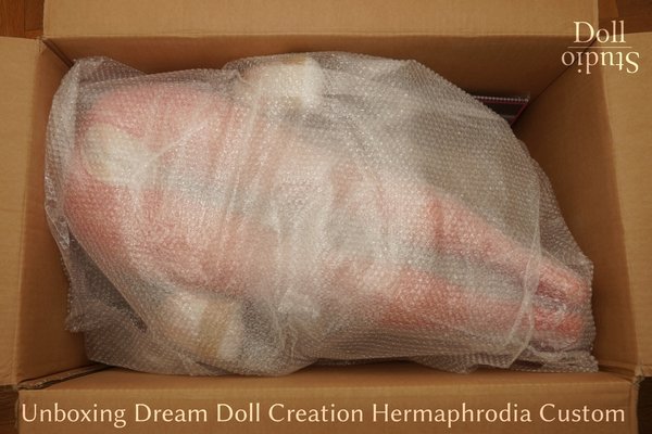 Unboxing Dream Doll Creation Hermaphrodia Custom