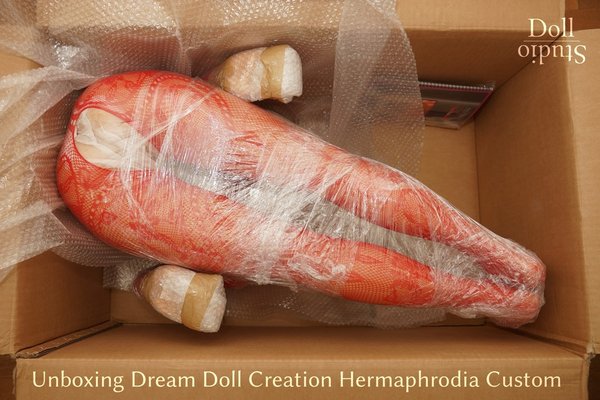 Unboxing Dream Doll Creation Hermaphrodia Custom