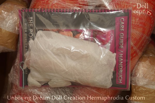 Unboxing Dream Doll Creation Hermaphrodia Custom