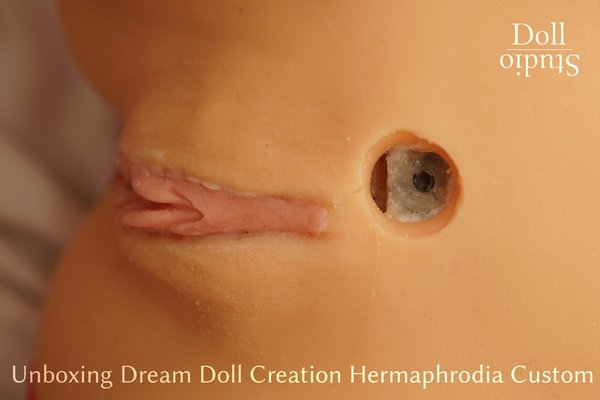 Unboxing Dream Doll Creation Hermaphrodia Custom