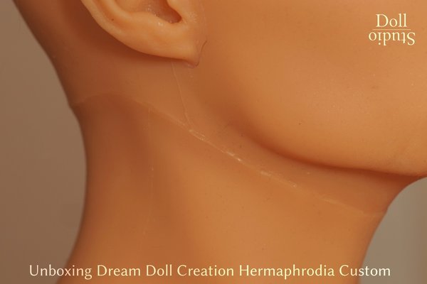 Unboxing Dream Doll Creation Hermaphrodia Custom