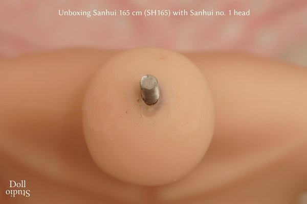 Unboxing Sanhui 165 cm (SH165) with Sanhui no. 1 head - Dollstudio