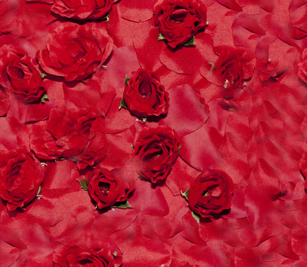 rose background.jpg