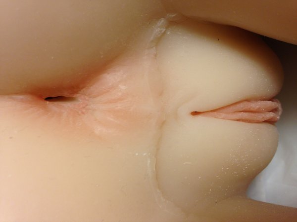 Doll Anus Close-up