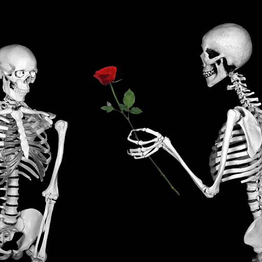 skull rose couple.gif