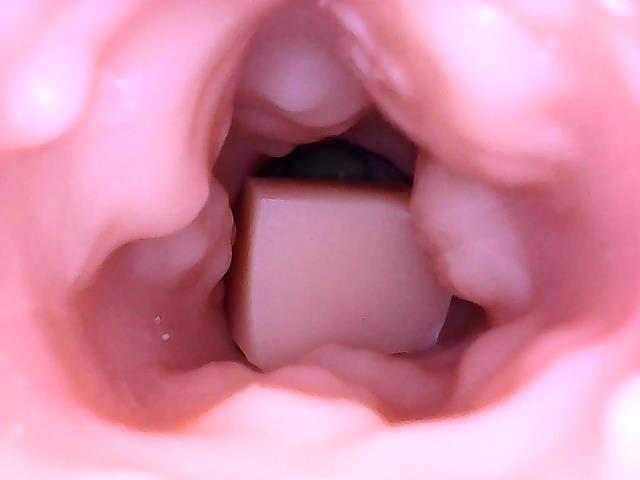 170612233412 endoscope exam of WMDoll mouth cavity.jpg