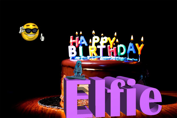 birthday Elfie.jpg