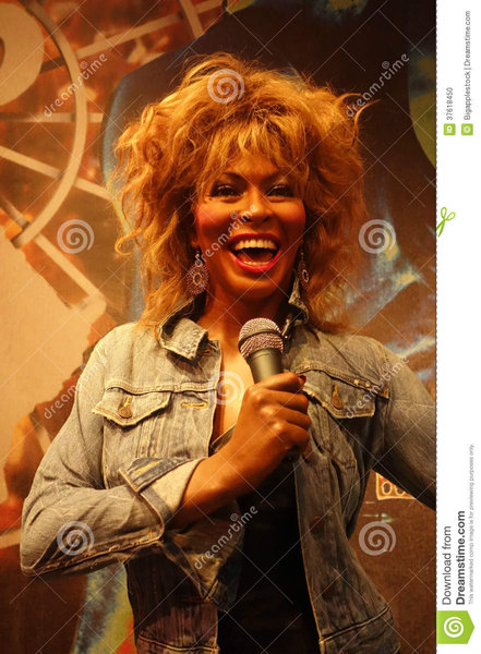 1. tina-turner-wax-figure-37618450.jpg