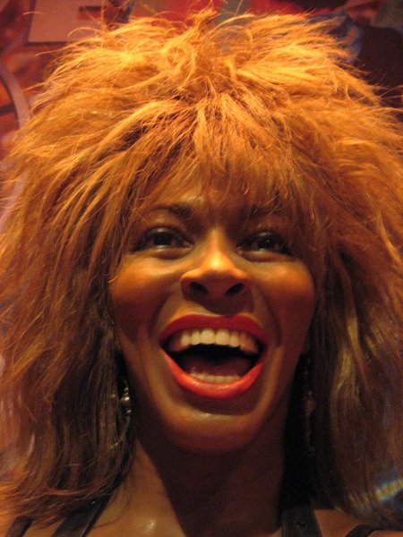 Wax Tina Turner.JPG