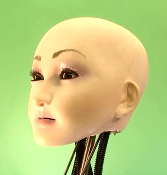 robotic_example_with_skin.jpg