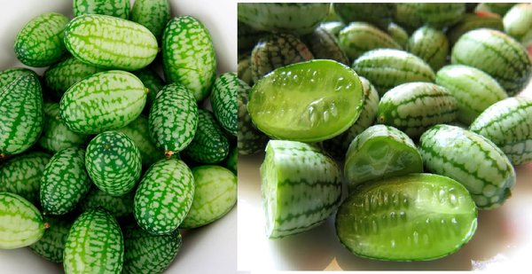 Cucamelon-Seeds.jpg