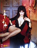 elvira-mistress-of-the-dark-book-tweeterhead-902857-04.jpg