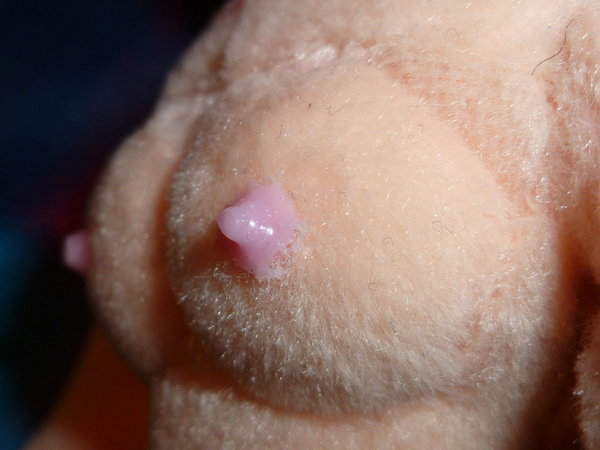 Pink eyeshadow + silicone glue = pert nipples