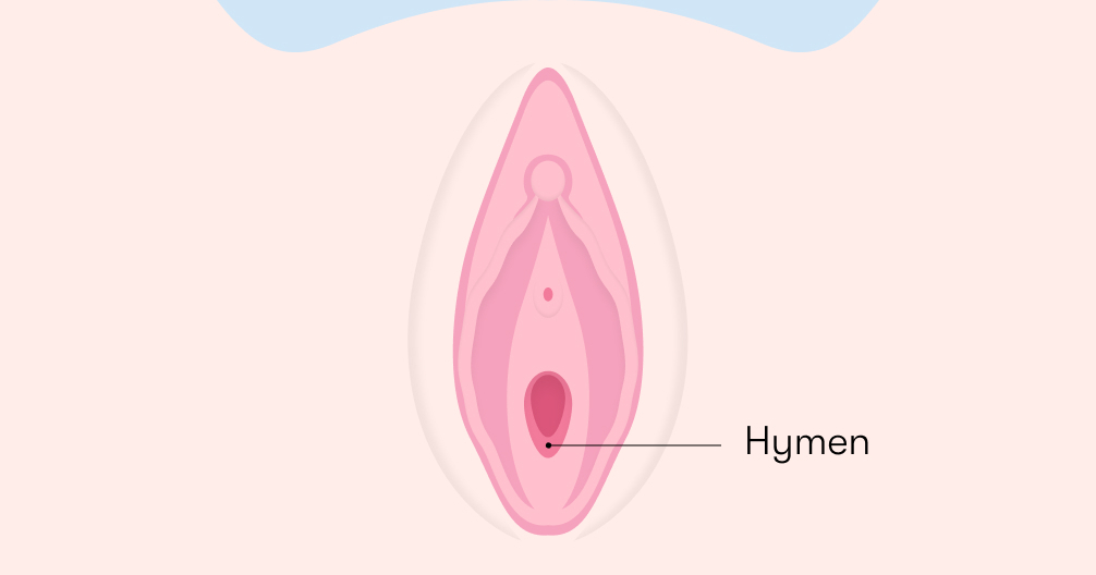 7608-what is a hymen1006x755 (1).jpg