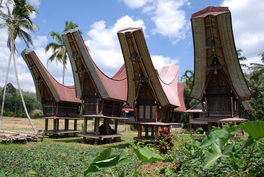 Torajan Nation, South Sulawesi, Indonesia, 02.jpg