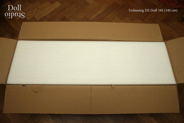 Unboxing DS Doll 145