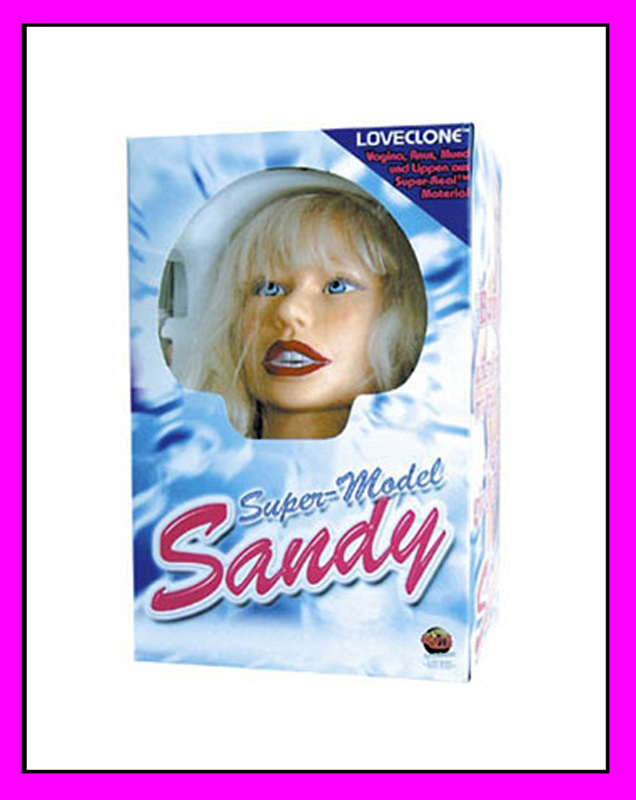 Treasure Of Technician - Sandy Super Model, Box, 01.jpg