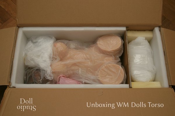 Unboxing WM Dolls Torso - Dollstudio