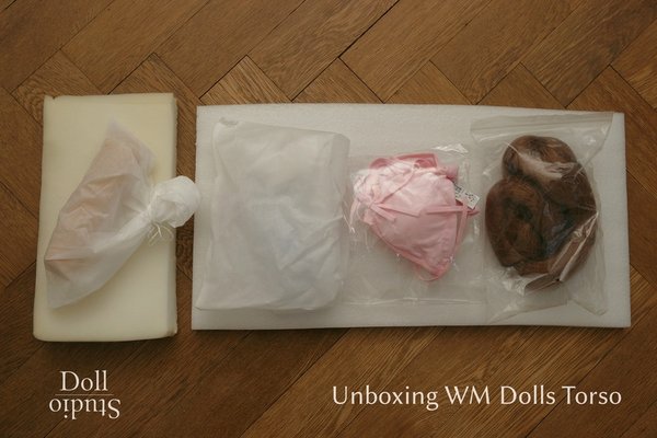 Unboxing WM Dolls Torso - Dollstudio