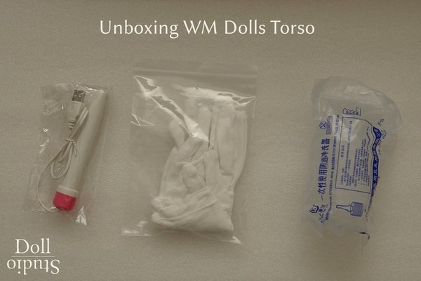 Unboxing WM Dolls Torso - Dollstudio