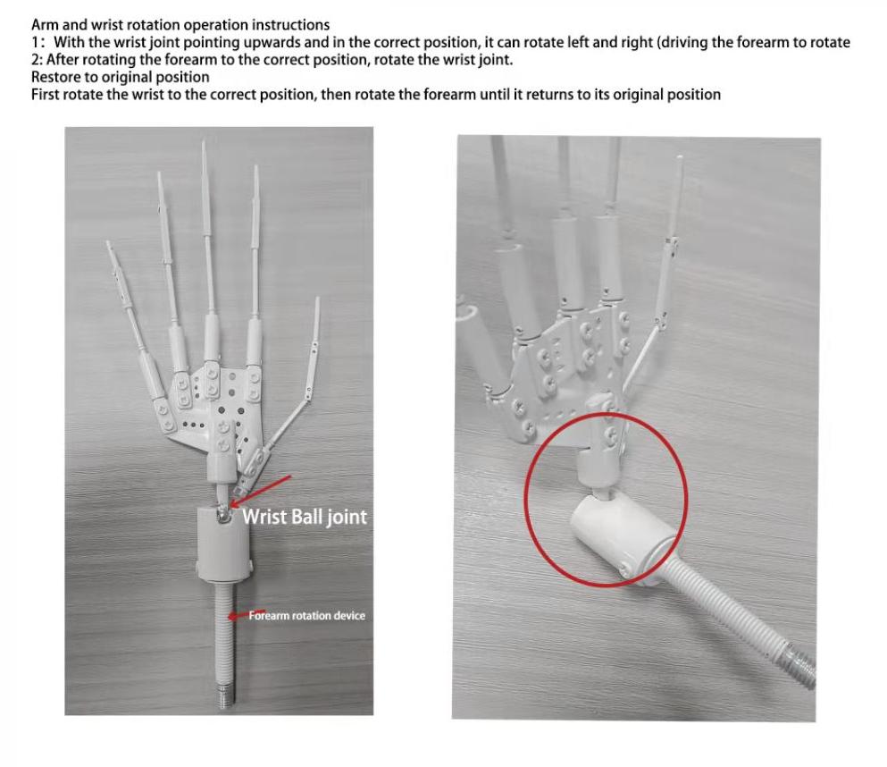 Hand Skeleton 3.0.jpg