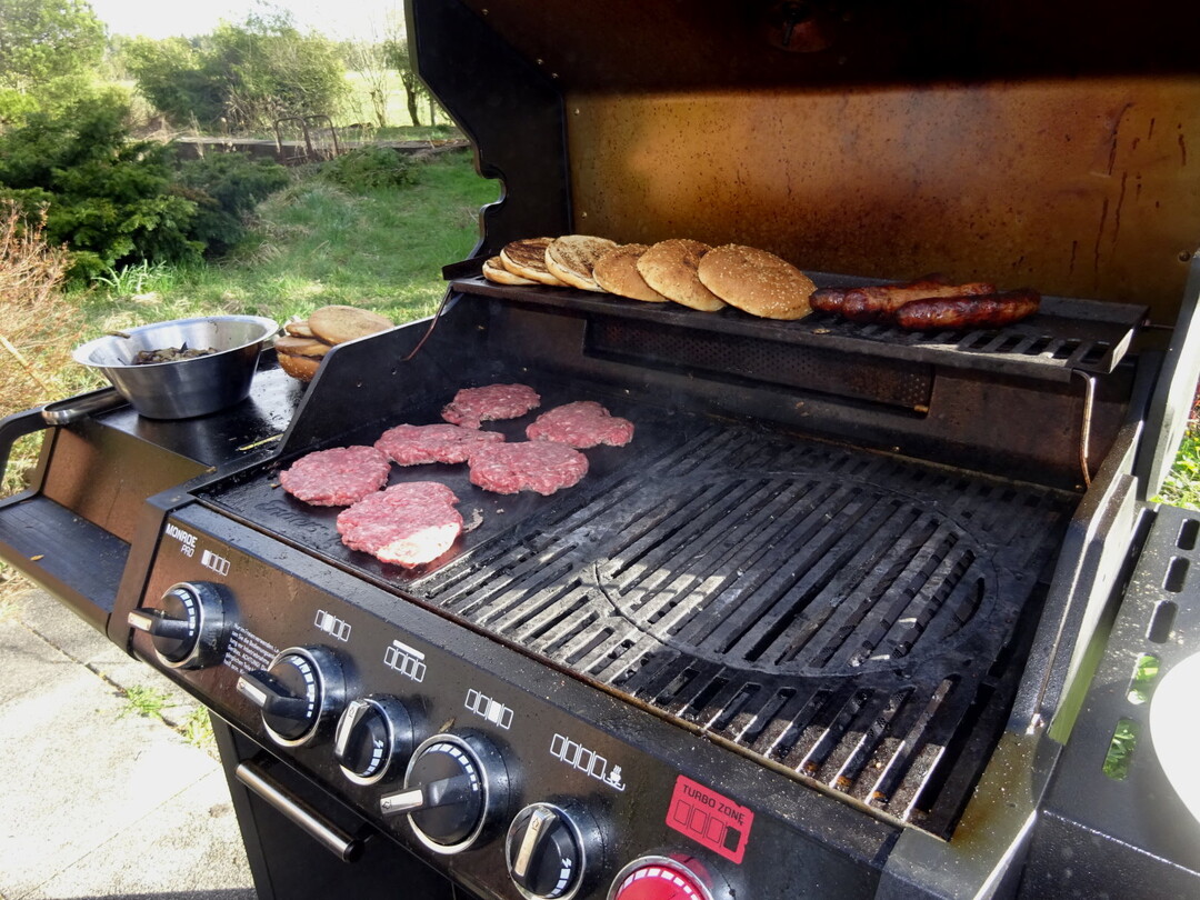 Anette_Garden_29_Barbecue_for_Dinner.jpg