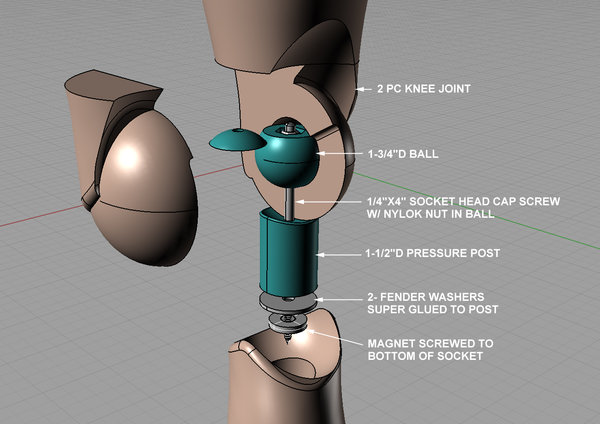 knee joint detail.jpg