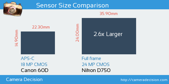 sensor-Canon-EOS-60D-Nikon-D750.png