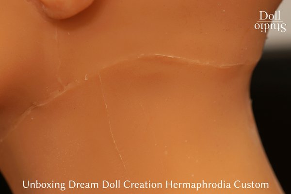 Dreamdoll Hermaphrodia Custom - seamlines between head and body