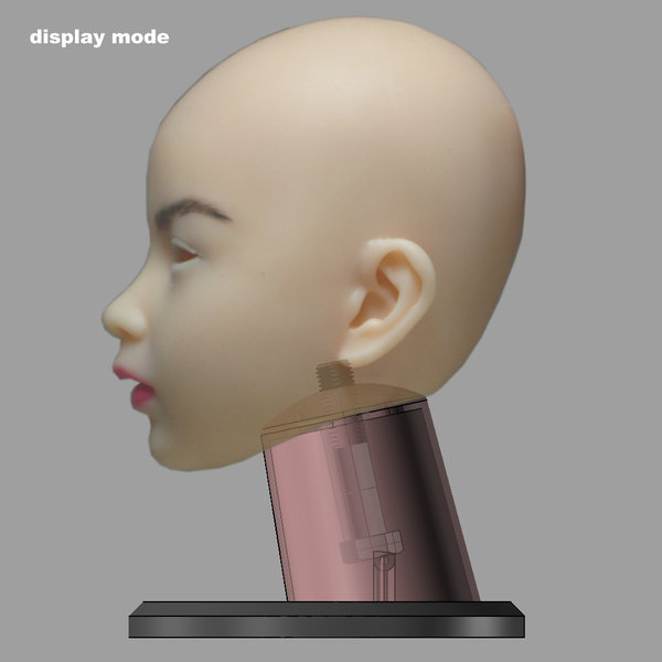head stand-display mode.JPG