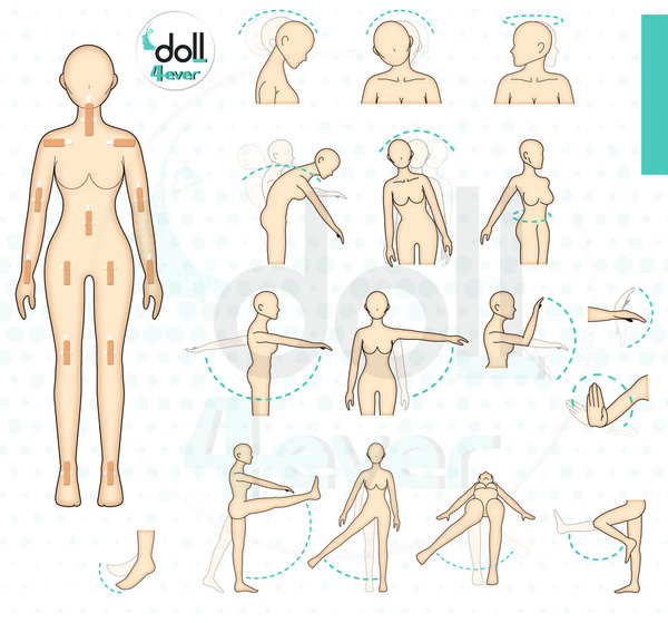 D4E Joints01.jpg