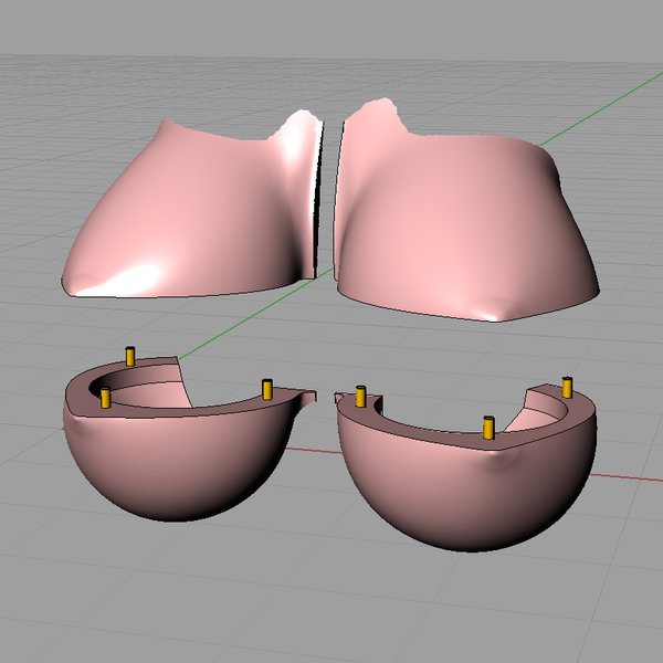 XL breast parts.jpg