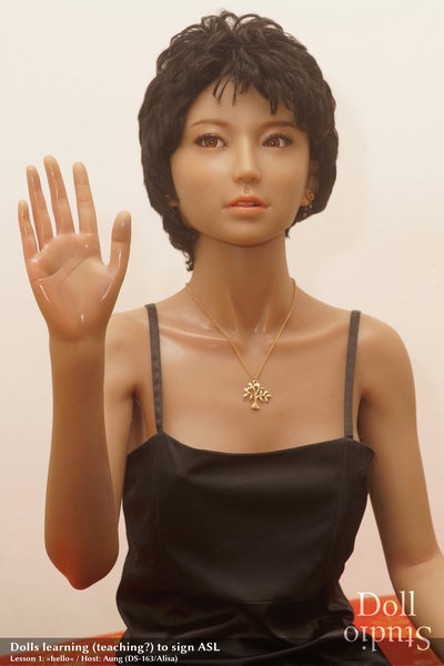 asl-1-hello-5294-dollstudio.jpg