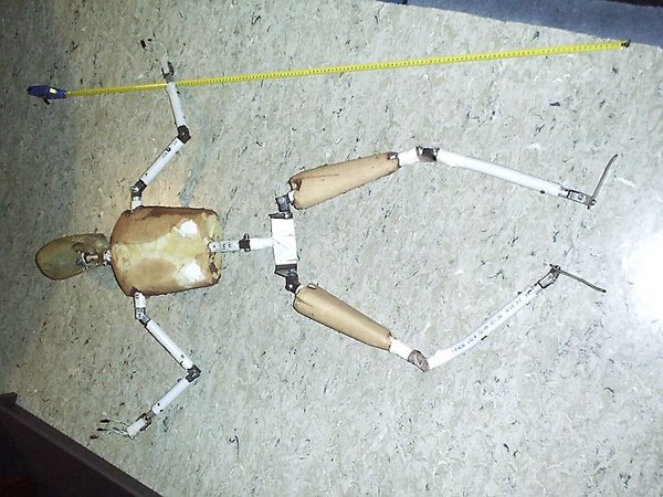 Skeleton of a RD classic