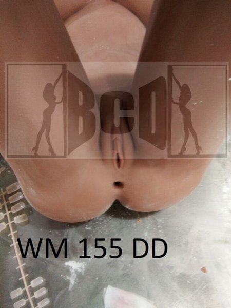 wm155DD.jpg