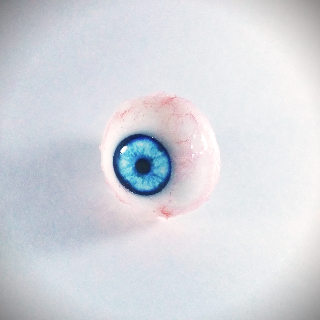 eye_project_wip2.png