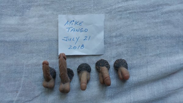 Set of 5 different penis<br /><br />20$ USD