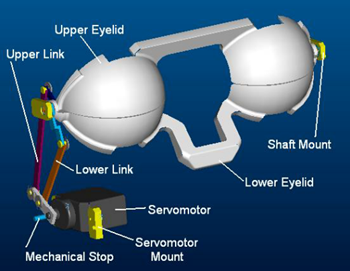 iCubBlinking_eyelidmechanism.png