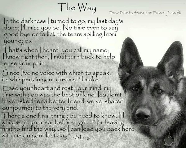 -dog-poems-dog-quotes.jpg