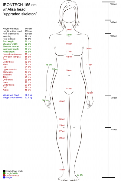 femalebodychart_IT155-Alisa_M.png