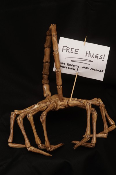 huggie-free-hugs-6049.jpg