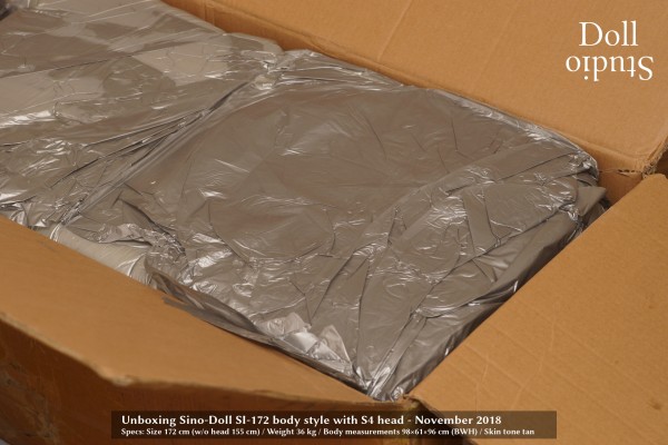 unboxing-si-172-body-s4-head-6260-dollstudio.jpg