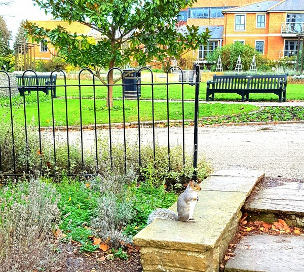 The sentry squirrel at Castle Park saluting Tom and lover.jpg