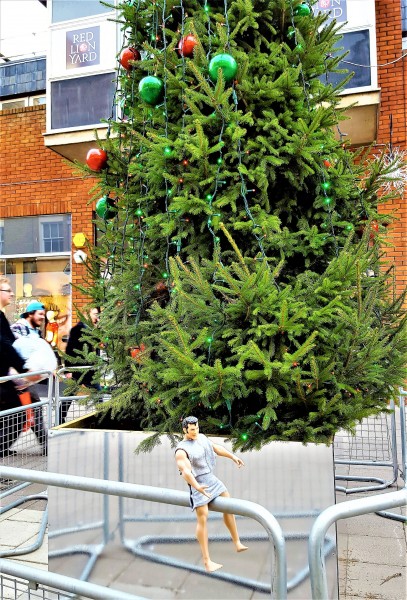 Tom's first public debut photo with Christmas shoppers in town centre.jpg