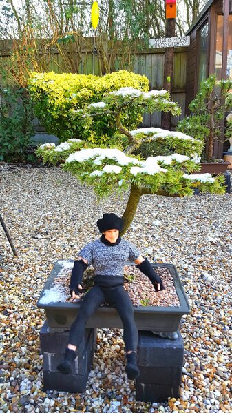 Tom with  snowy bonsai.jpg